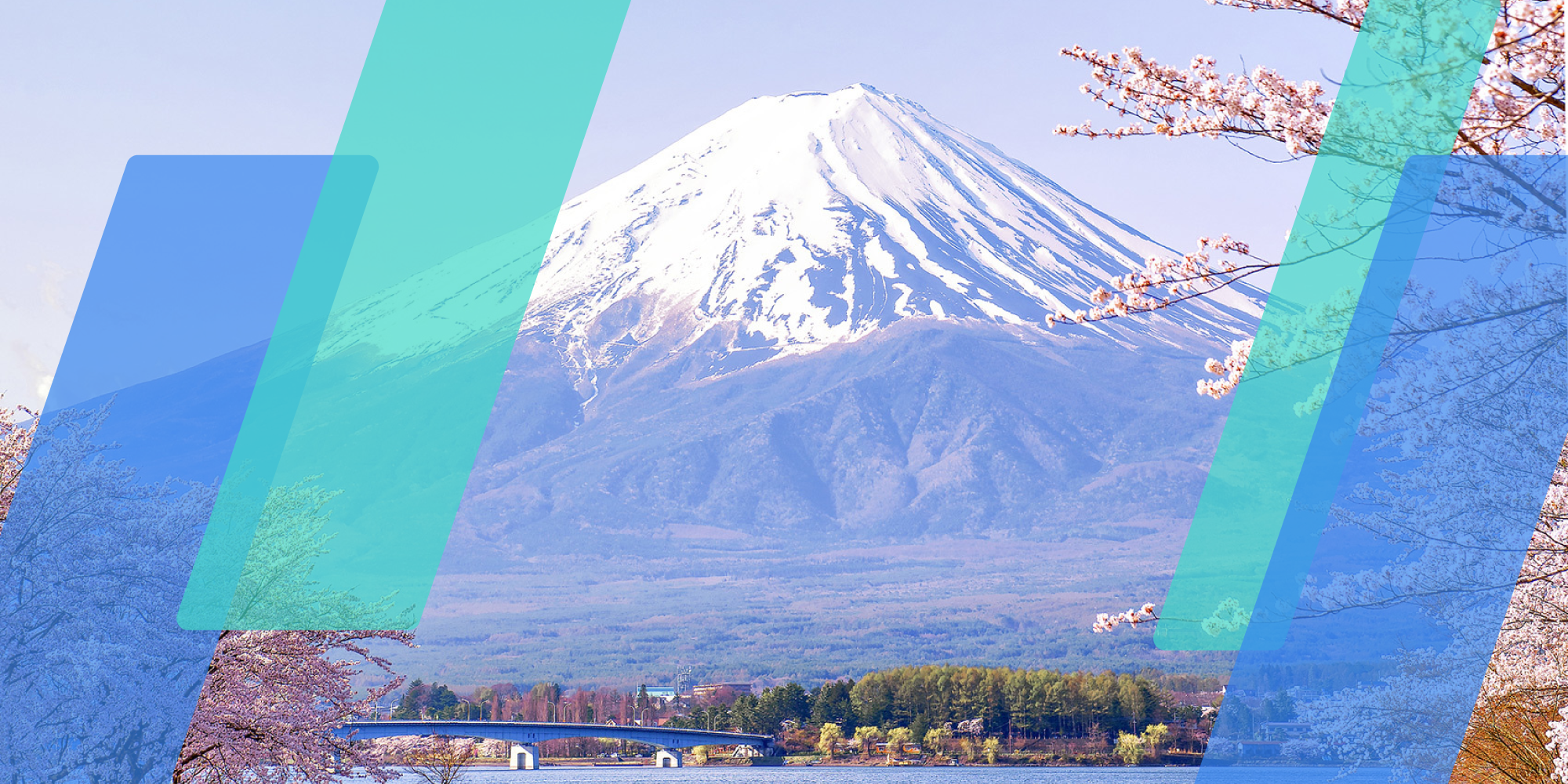 株式会社C-Bridge